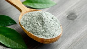 argile verte en poudre remèdes naturels contre les boutons