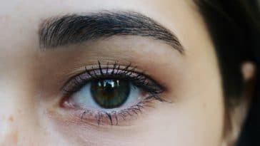 sourcils noirs yeux morphologie visage forme