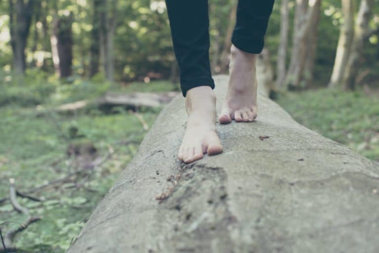 facon de marcher personnalite pieds nus arbre