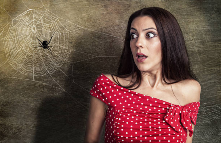 Peur des araignées ? 11 astuces pour ne plus jamais trembler