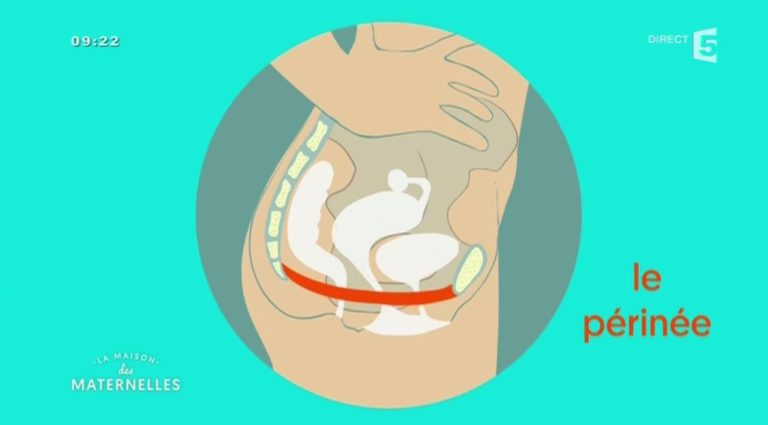 muscler périnée astuces santé après accouchement
