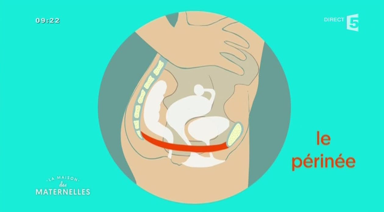 muscler périnée astuces santé après accouchement