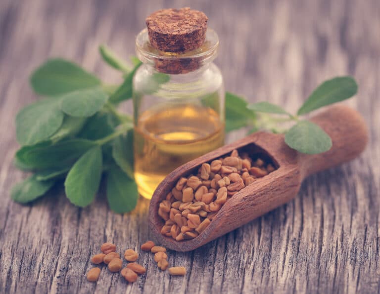 huile végétale de fenugrec peau hydrater beauté naturelle graines