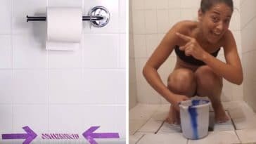 remplacer papier toilette WC