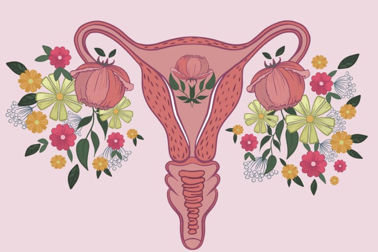 vagin dessin santé illustration fleurs femme hygiène intime partie