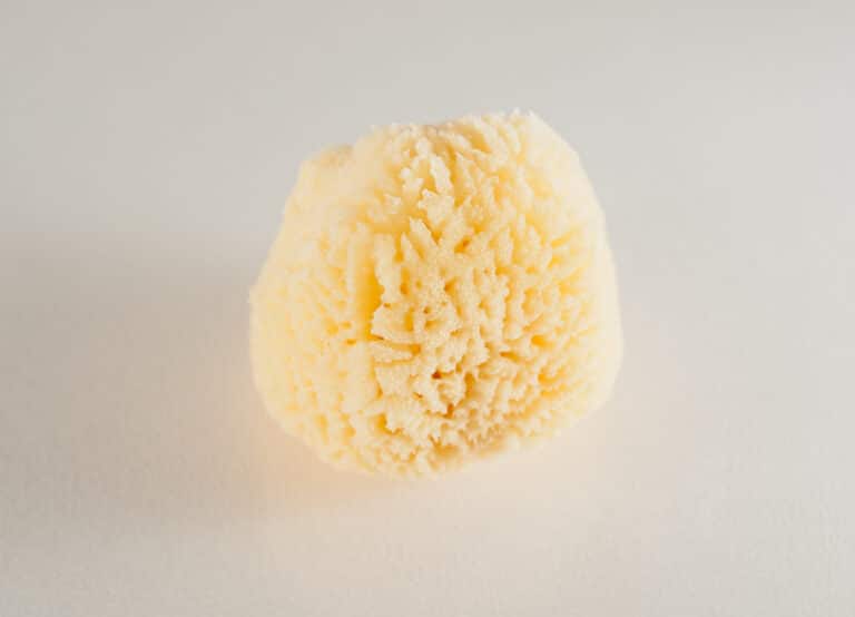 éponge mer vaginale menstruelle protection naturelle hygiénique sang règles