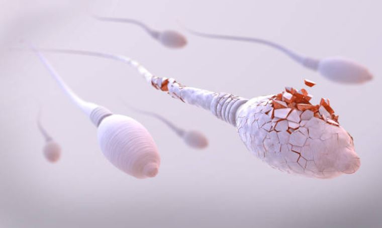 Spermicides : un moyen de contraception à prendre ou à laisser