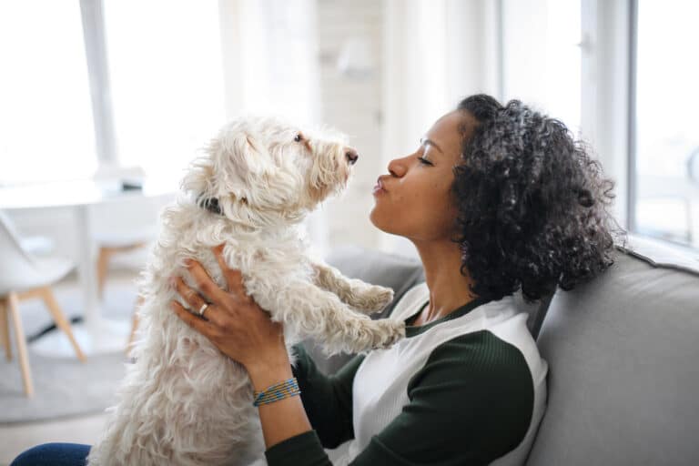 femme noire chien animal de compagnie tendresse