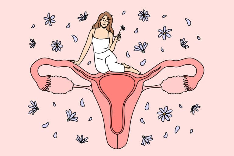femme utérus vagin parties intimes flore illustration dessin