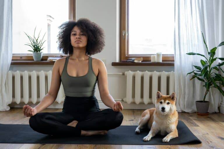 méditation yoga cours femme tapis chien