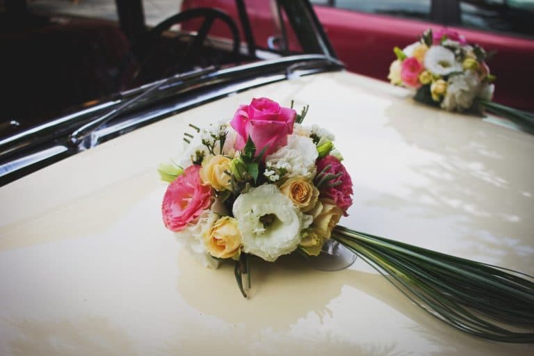 Faire l'amour dans une voiture : 5 conseils pour que tout se passe bien