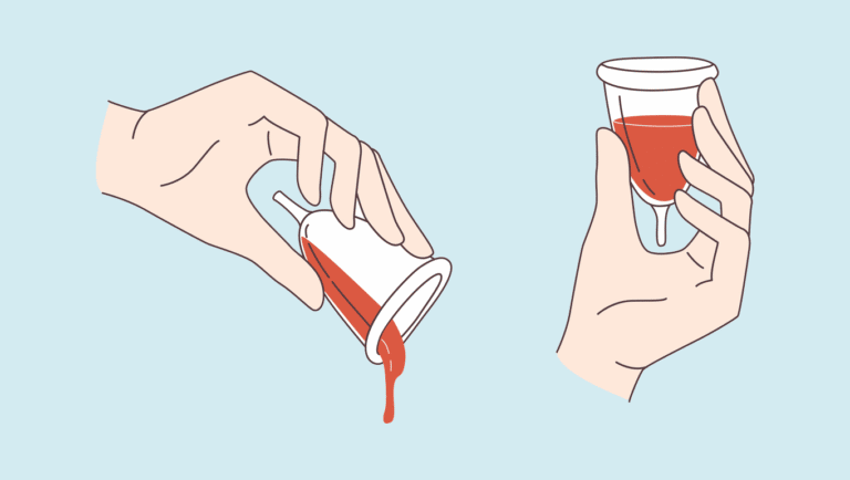 règles dessin coupe menstruelle vider cup illustration couleur sang rose