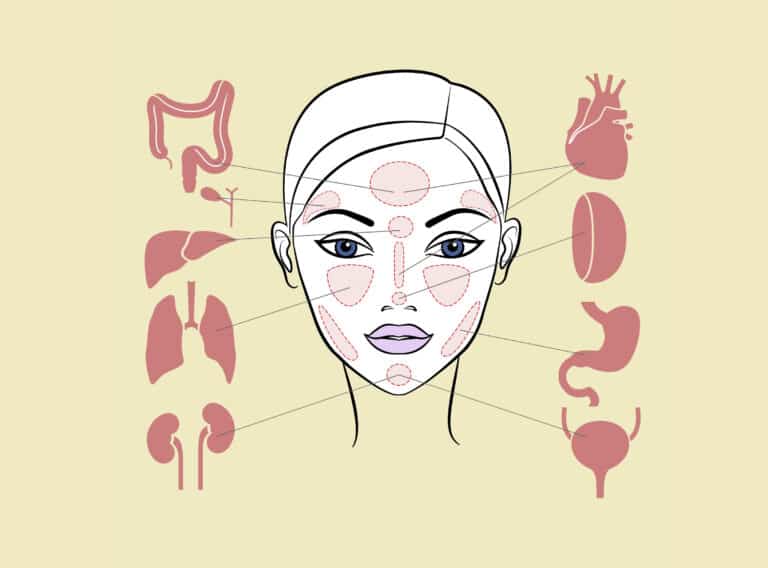 points acupuncture femme visage organes