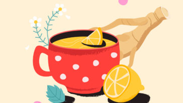 thé tisane au citron gingembre bol plantes dessin