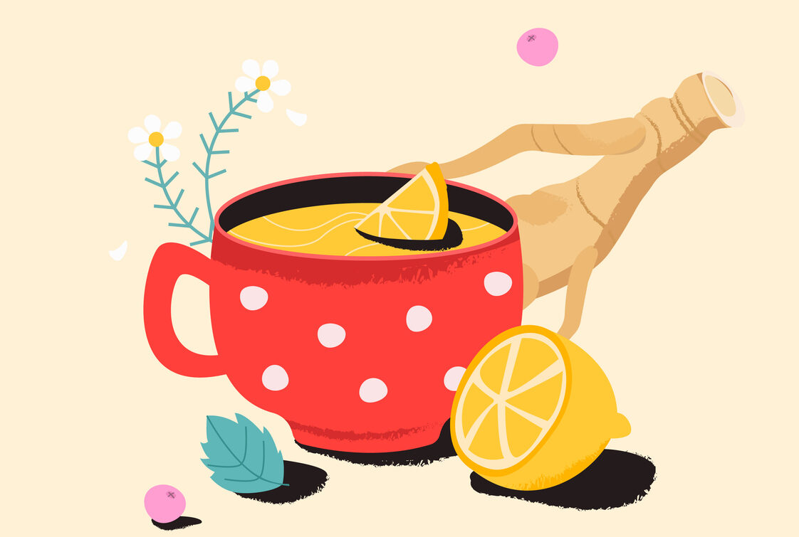 thé tisane au citron gingembre bol plantes dessin