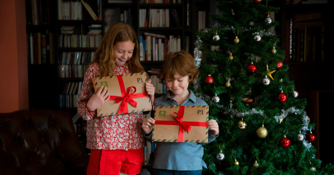 abonnement pandacraft pour Noel