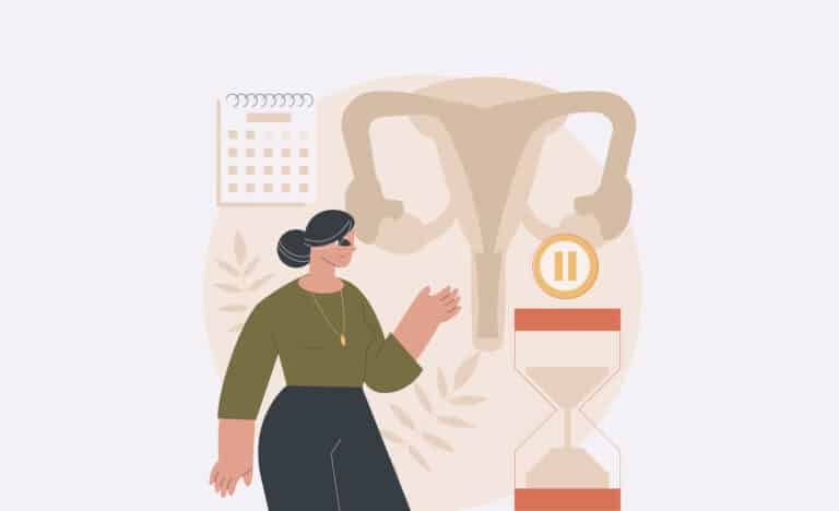 ménopause préménopause horloge cycle féminin femme dessin illustration calendrier utérus