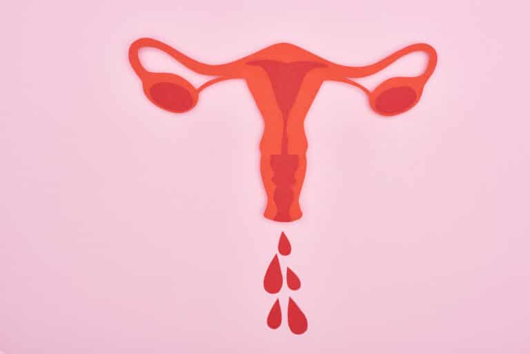 flux abondant règles sang menstruations dessin endomètre anatomie femme