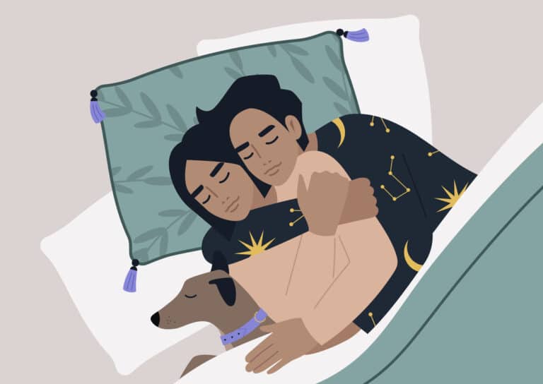 couple lit dormir à deux illustration dessin amour chien