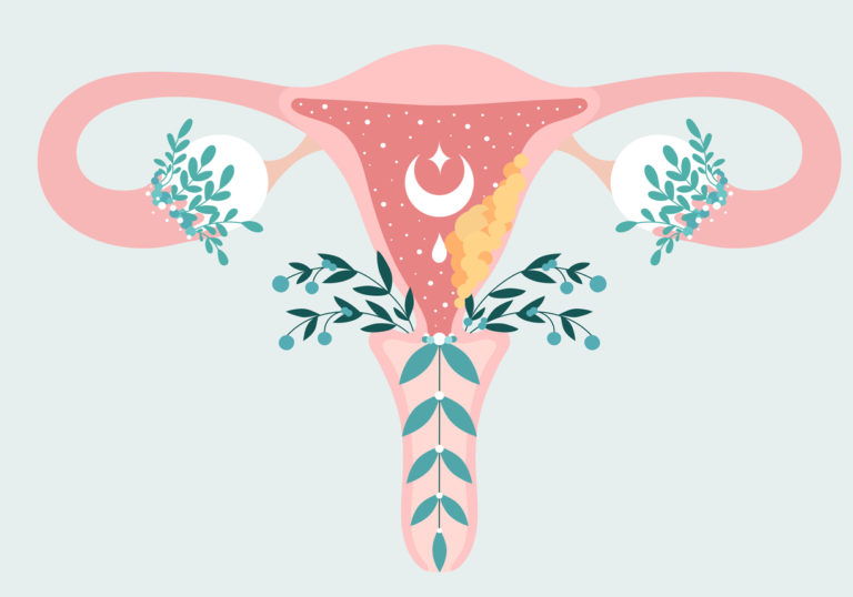 utérus cancer du col vagin parties intimes femme anatomie