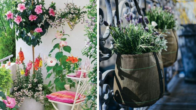 balcon plantes fleuries déco idées inspiration fleurs