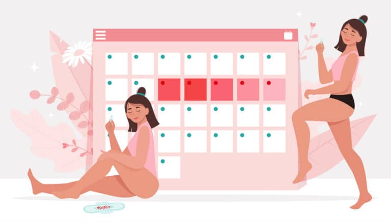 règles menstruations illustration femme calendrier loi