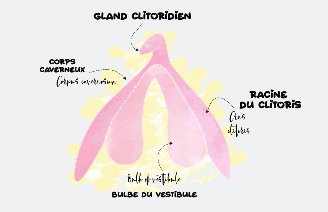 Connaître son clitoris 5 choses à