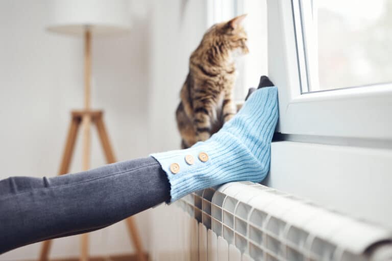 femme plus avoir froid pieds chaussettes chat chauffage chaud radiateur hiver