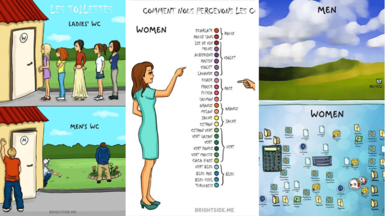 femmes hommes différences dessins illustrations