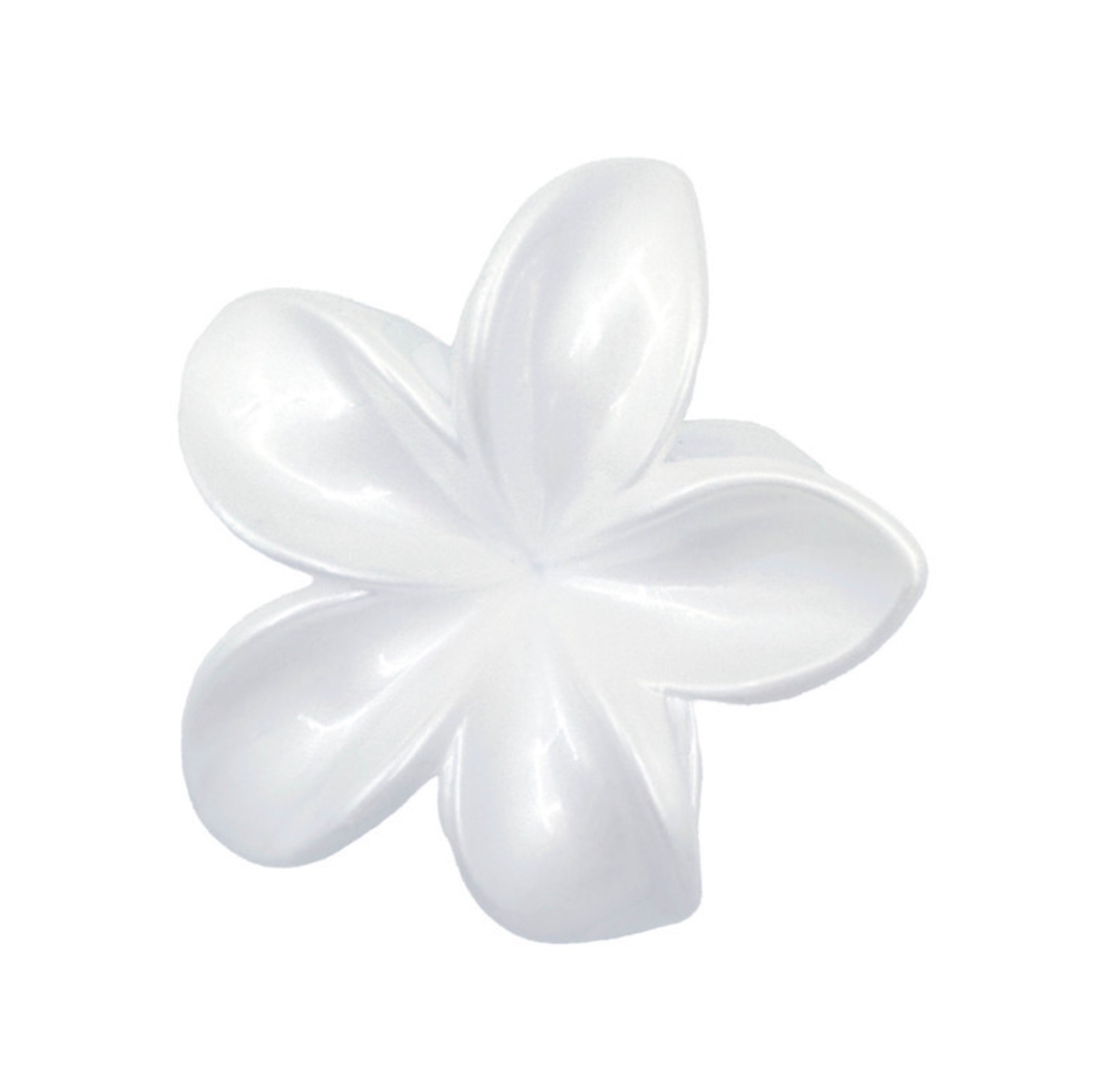 Le match : ce que vaut vraiment la pince B&M au quotidien